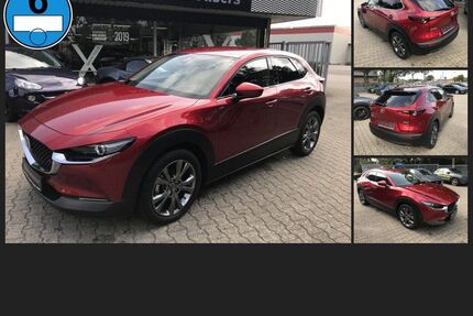 Mazda CX-30 Gebrauchtwagen