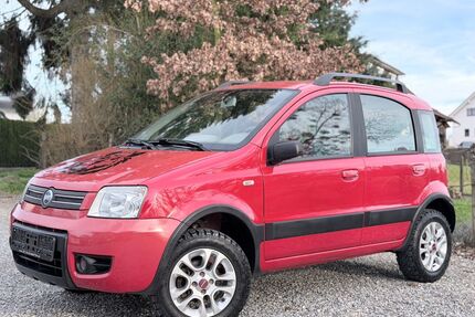 Fiat Panda Gebrauchtwagen