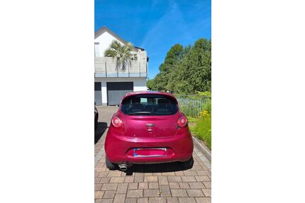 Ford Ka/Ka+ Gebrauchtwagen