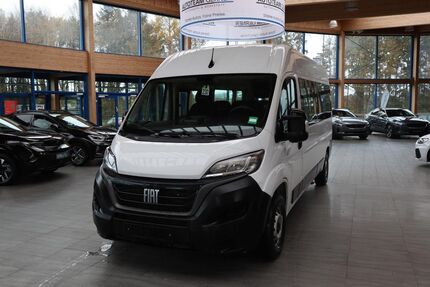 Fiat Ducato Gebrauchtwagen