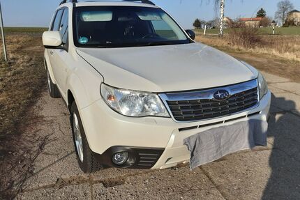 Subaru Forester Gebrauchtwagen