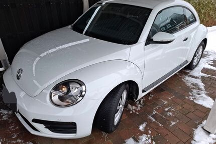 VW Beetle Gebrauchtwagen
