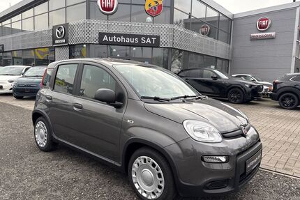 Fiat Panda Gebrauchtwagen