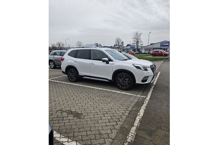 Subaru Forester Gebrauchtwagen