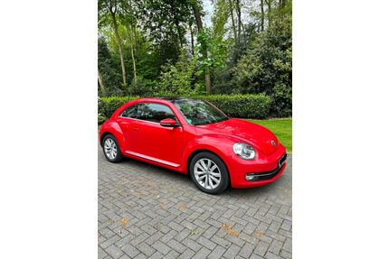 VW Beetle Gebrauchtwagen