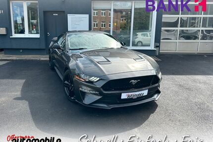 Ford Mustang Gebrauchtwagen