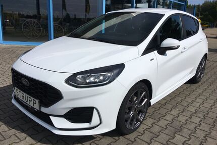 Ford Fiesta Gebrauchtwagen