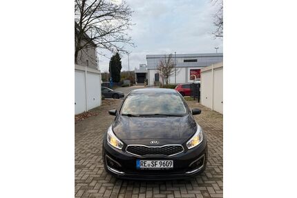 Kia ceed / Ceed Gebrauchtwagen