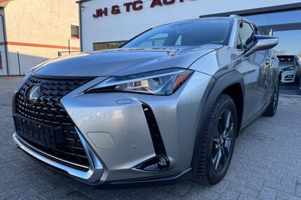 Lexus UX Gebrauchtwagen