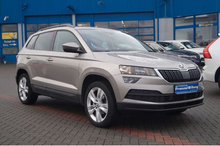 Skoda Karoq Gebrauchtwagen