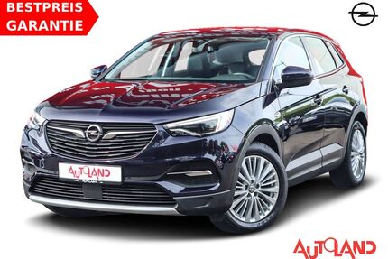 Opel Grandland (X) Gebrauchtwagen