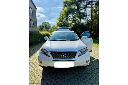 Lexus RX 450 Gebrauchtwagen
