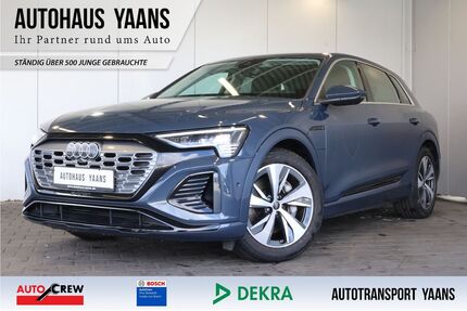 Audi Q8 e-tron Gebrauchtwagen
