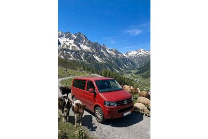 VW T5 Multivan Gebrauchtwagen