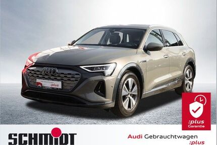 Audi Q8 e-tron Gebrauchtwagen