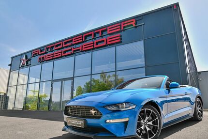 Ford Mustang Gebrauchtwagen