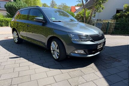 Skoda Fabia Gebrauchtwagen