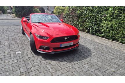 Ford Mustang Gebrauchtwagen