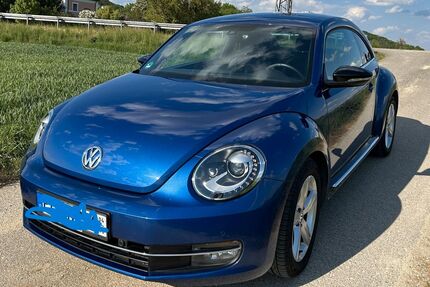 VW Beetle Gebrauchtwagen