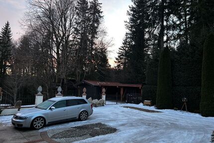 Audi S4 Gebrauchtwagen