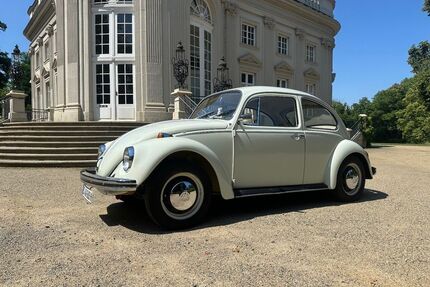 VW Käfer Gebrauchtwagen