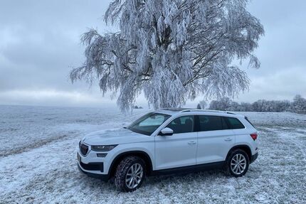 Skoda Kodiaq Gebrauchtwagen