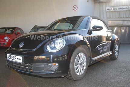SWM Beetle 