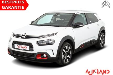 Citroen C4 Cactus Gebrauchtwagen