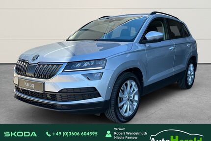 Skoda Karoq Gebrauchtwagen