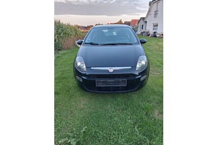 Fiat Punto Gebrauchtwagen