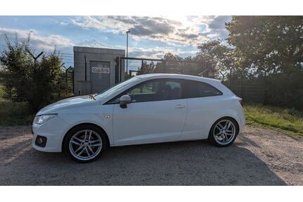 Seat Ibiza Gebrauchtwagen