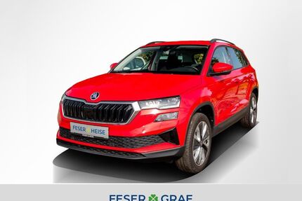 Skoda Karoq Gebrauchtwagen