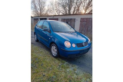 VW Polo Gebrauchtwagen