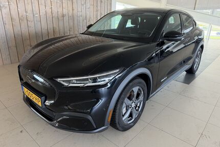 Ford Mustang Mach-E Gebrauchtwagen