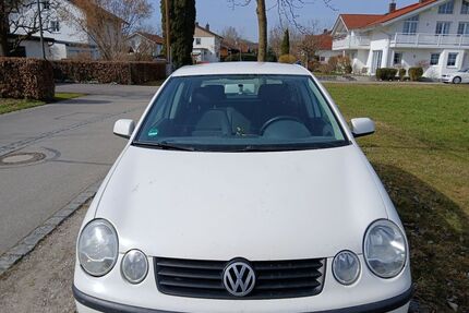 VW Polo Gebrauchtwagen