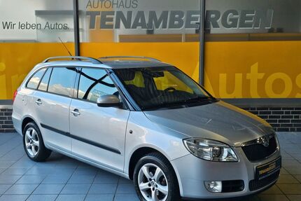 Skoda Fabia Gebrauchtwagen