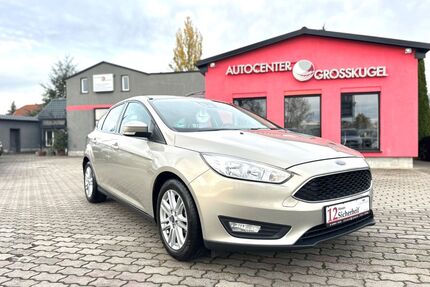 Ford Focus Gebrauchtwagen