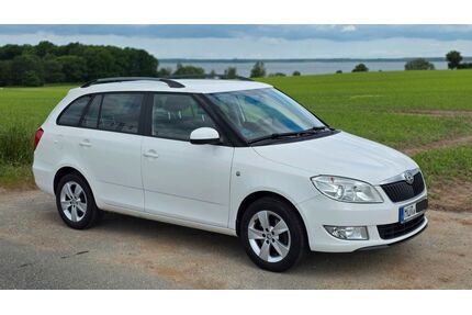 Skoda Fabia Gebrauchtwagen