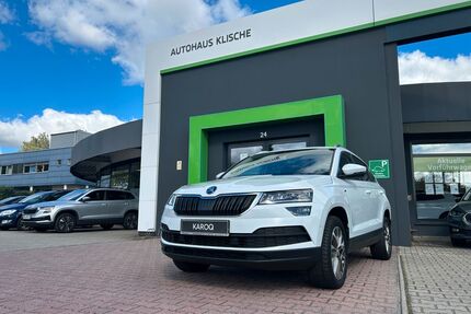 Skoda Karoq Gebrauchtwagen