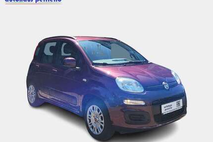 Fiat Panda Gebrauchtwagen
