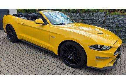 Ford Mustang Gebrauchtwagen