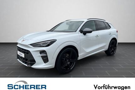 Cupra Terramar Gebrauchtwagen