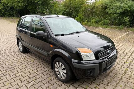 Ford Fusion Gebrauchtwagen