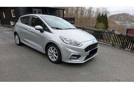 Ford Fiesta Gebrauchtwagen