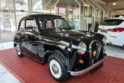 Austin Rover Andere Gebrauchtwagen