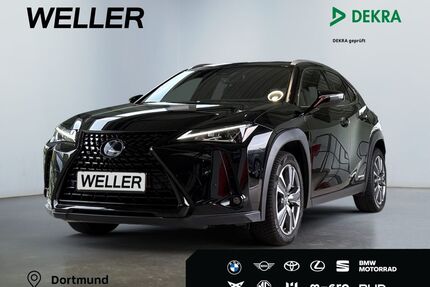 Lexus UX Gebrauchtwagen