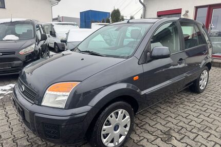 Ford Fusion Gebrauchtwagen