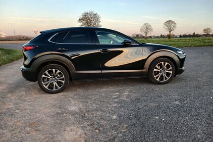 Mazda CX-30 Gebrauchtwagen