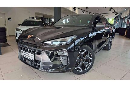 Cupra Terramar Gebrauchtwagen