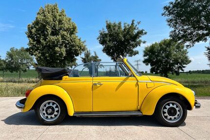 VW Käfer Gebrauchtwagen